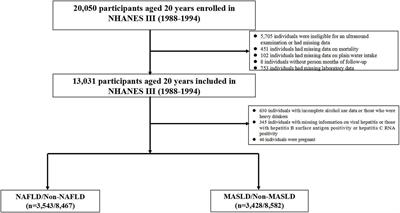 Association of plain water intake with risk of all-cause and cause-specific mortality in individuals with non-alcoholic fatty liver disease or metabolic dysfunction-associated steatotic liver disease